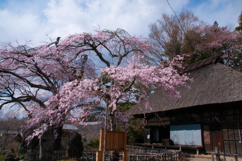 Lodge Tombouctou Fujimi